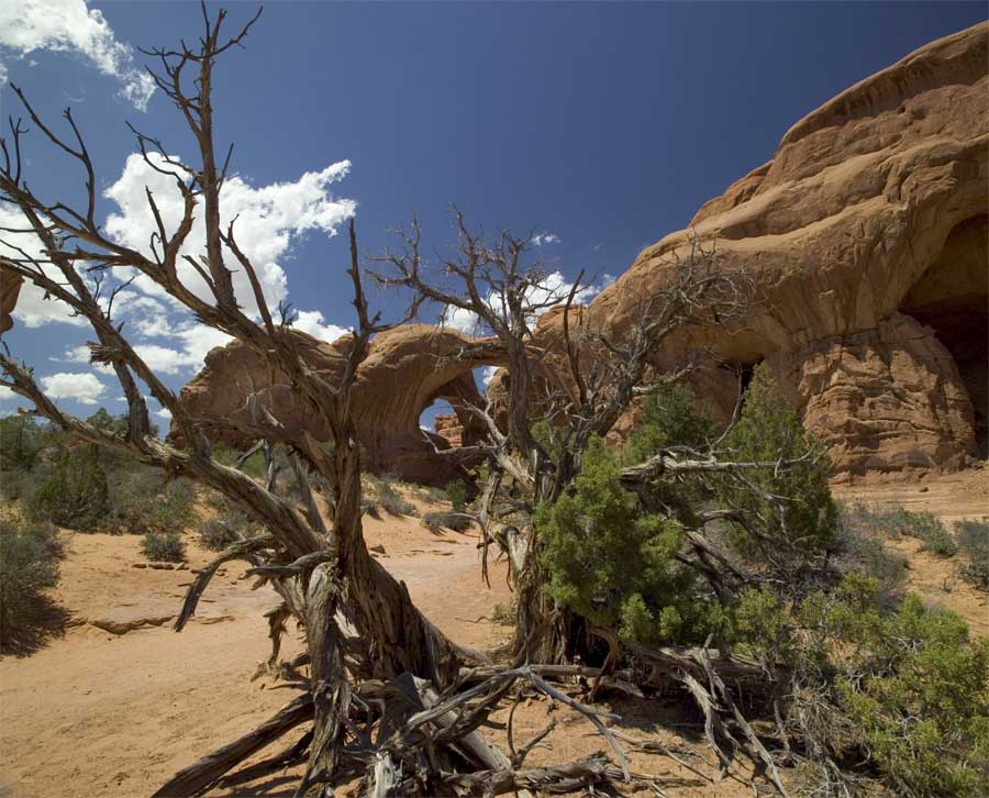 Arches National Park, Moab, Utah