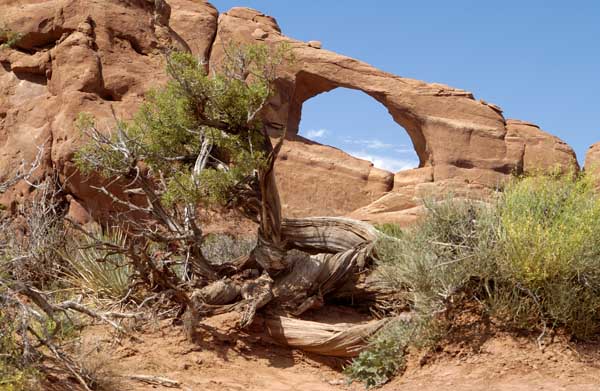 Arches National Park, Moab, Utah