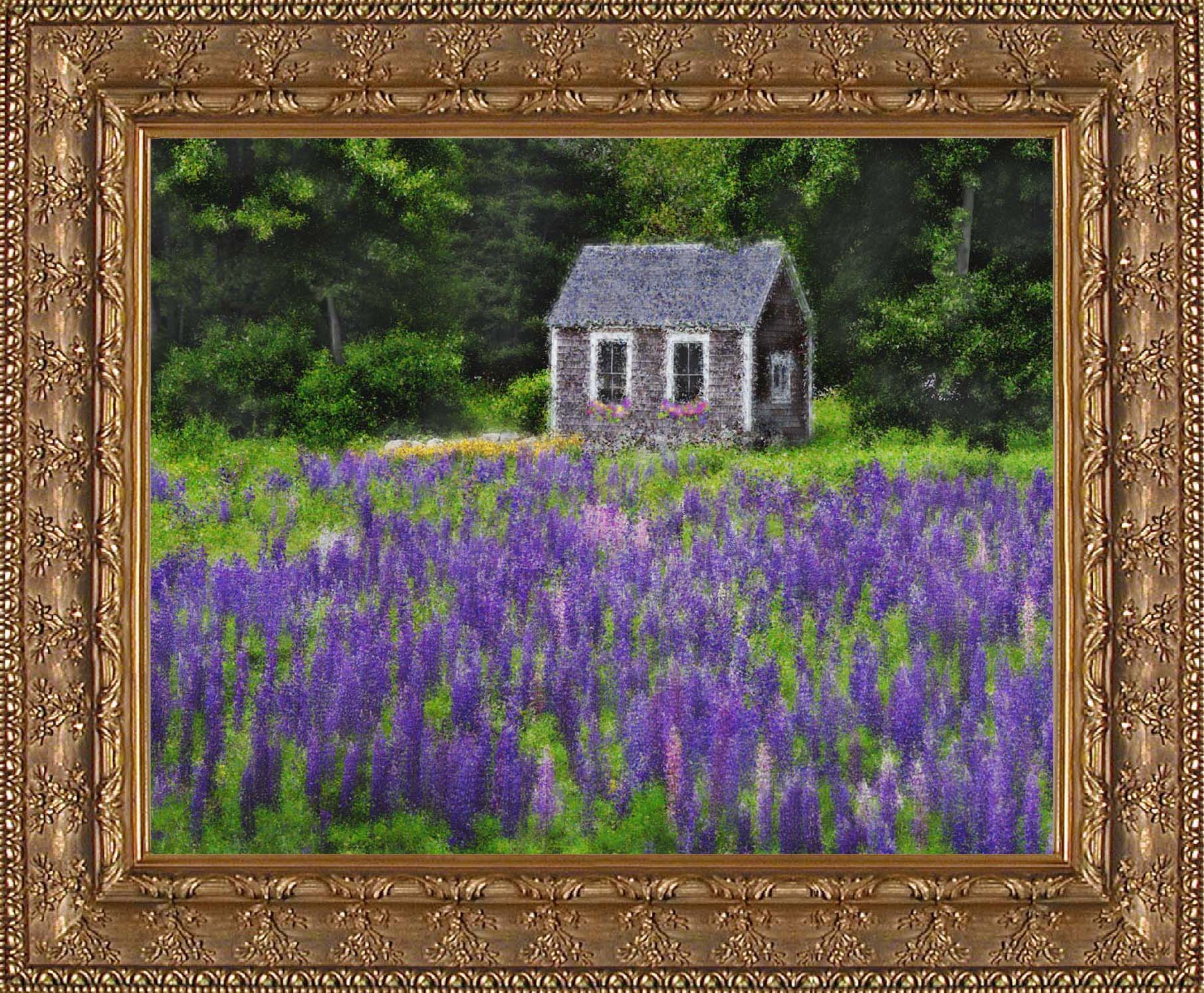 Garden Shed in Lupines