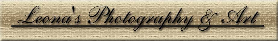 Leona's Photography & Art