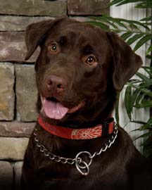 Remington