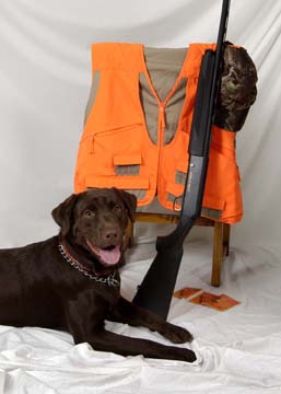 Remington Loves to Hunt!
