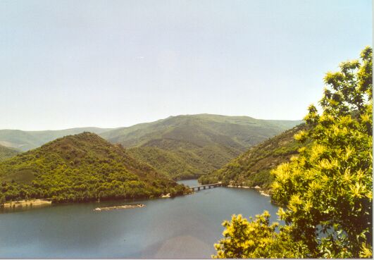 The lake itself.
