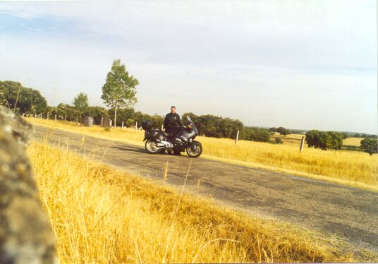 Yellow grass, black trees, me.