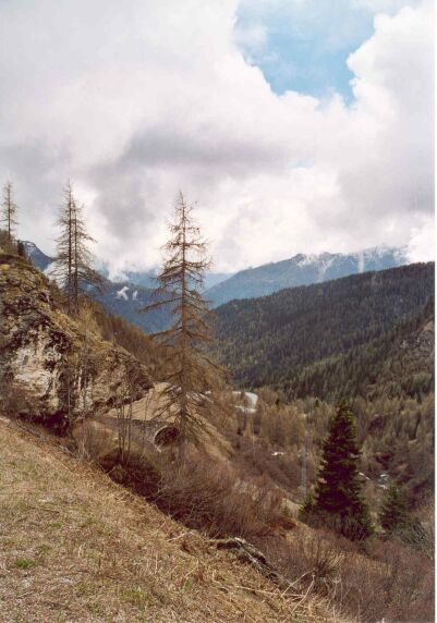 The road going down the Passo di Giau.