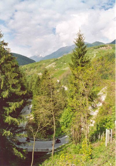 Forested descent near Pte. San Gallo.