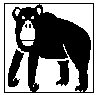 i don't know why i put this picture of a monkey here