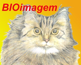 Material Did�ctico e Multim�dia