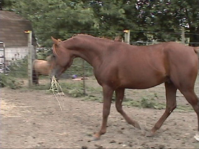 Spring 2004