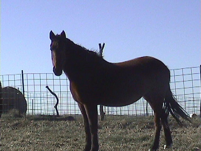 Dec 2004