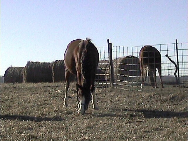 Dec 2004