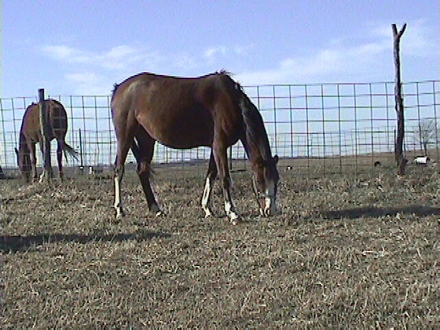 Dec 2004
