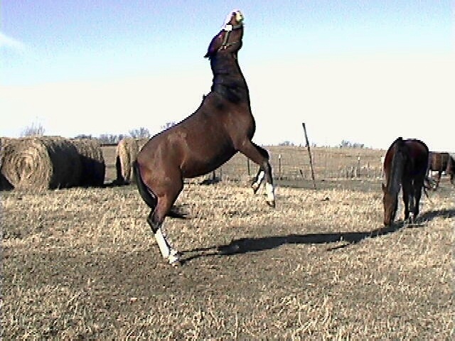 Dec 2004
