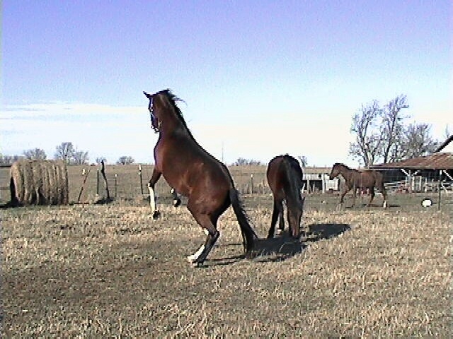 Dec 2004