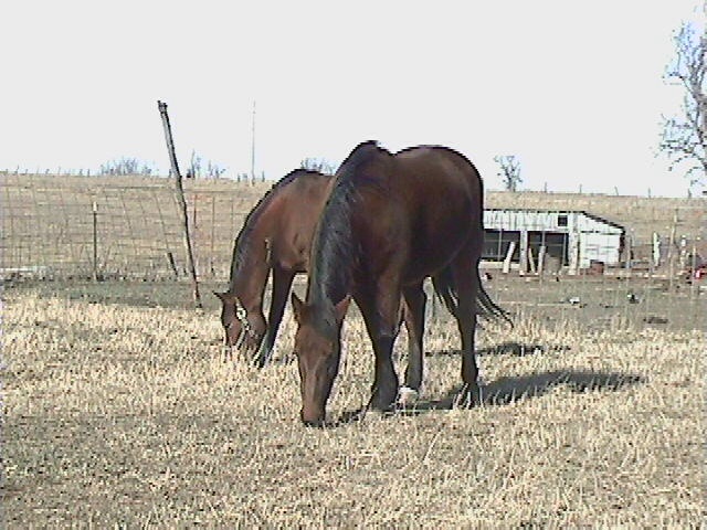 Dec 2004
