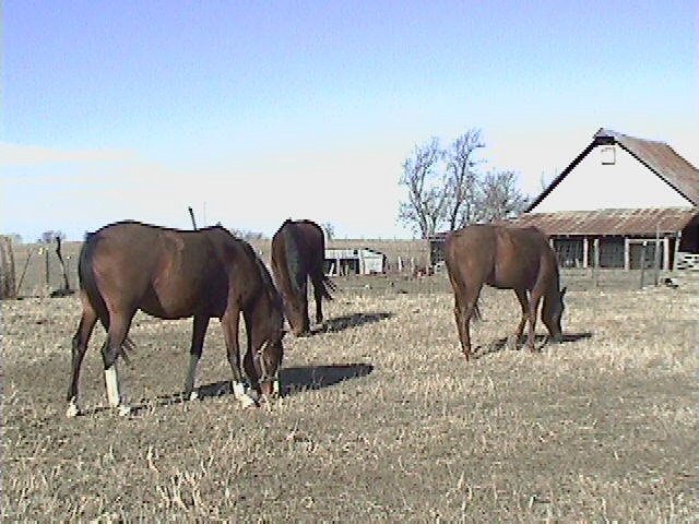 Dec 2004