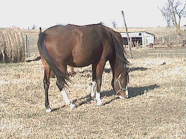 Dec 2004