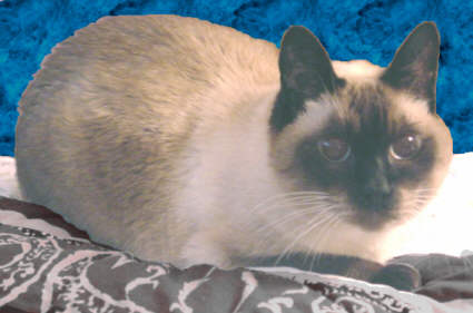 Fred's Photo enlarged