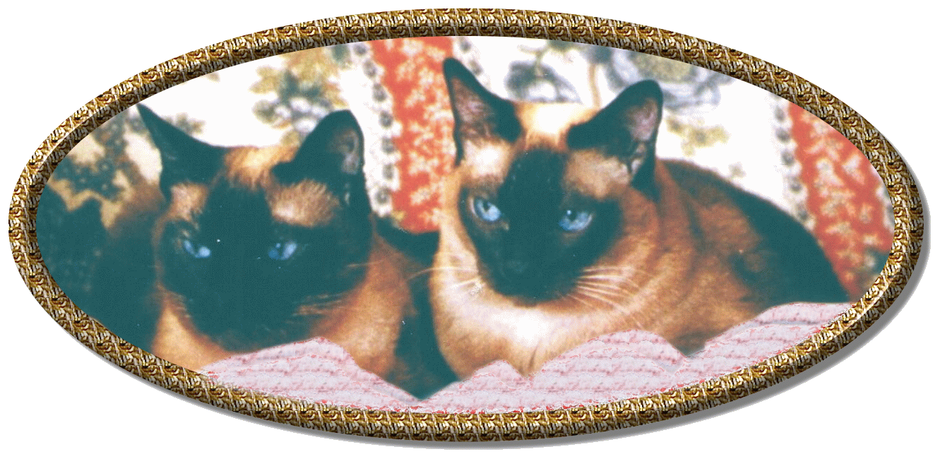 Click to see Fred and Renata up close!