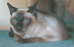Renata's Photo enlarged