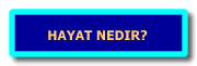 Hayat anlamak i�in neler yapiyoruz?
