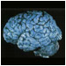 Conectando a eletr�nica e a neurologia
