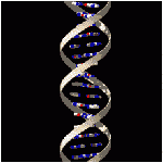 Muta��es no DNA