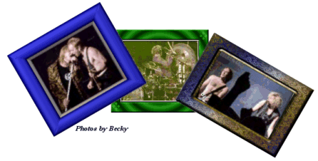 LepNet Collage