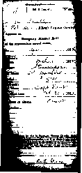 muster10.jpg