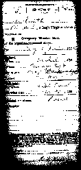 muster12.jpg