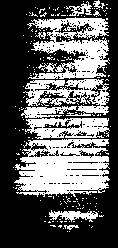 muster4.jpg