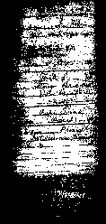 muster5.jpg