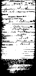 muster9.jpg