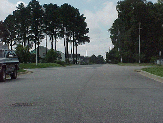 Lomax.gif (64042 bytes)