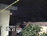 Brian Fliping Off The Roof