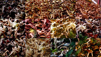 leafblow