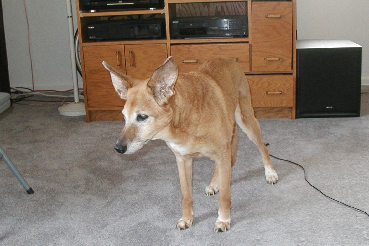 2003