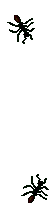 7.25 KB