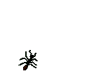 8.06 KB