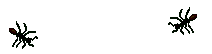 8.06 KB