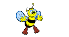 10.6 KB