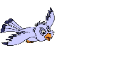 13.5 KB