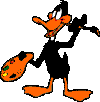 14.8 KB