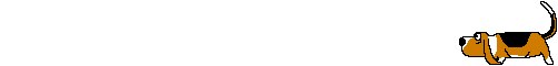 28.7 KB