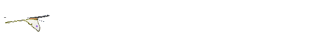 12.3 KB,
This GIF file was assembled with
GIF Construction Set from:
http://www.mindworkshop.com/alchemy/gifcon.html
Alchemy Mindworks Inc.
P.O. Box 500
Beeton, Ontario
L0G 1A0
CANADA.