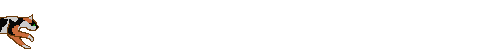 30.4 KB