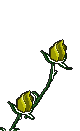 15.8 KB