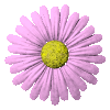 15.7 KB, http://www.animfactory.net