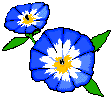 3.61 KB, 
Alchemy Mindworks Inc.
P.O. Box 500
Beeton, Ontario
L0G 1A0
CANADA.