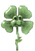 23.6 KB, http://www.snowcrest.net